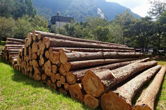 完善的木材服务体系