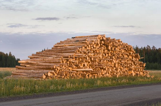 丰富的木材产品